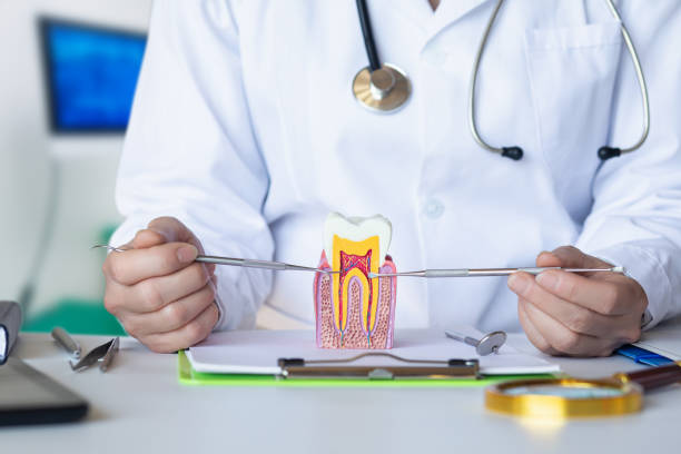 Best Emergency Dental Care for Trauma or Injury in Belford, NJ